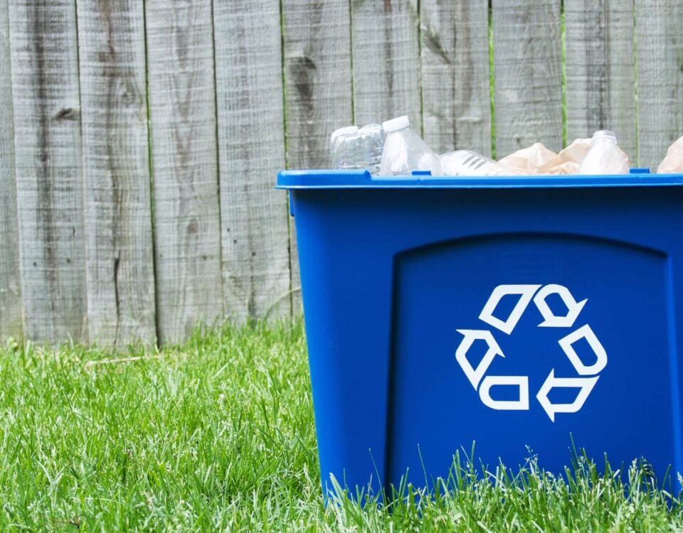 Winter Garden recycling