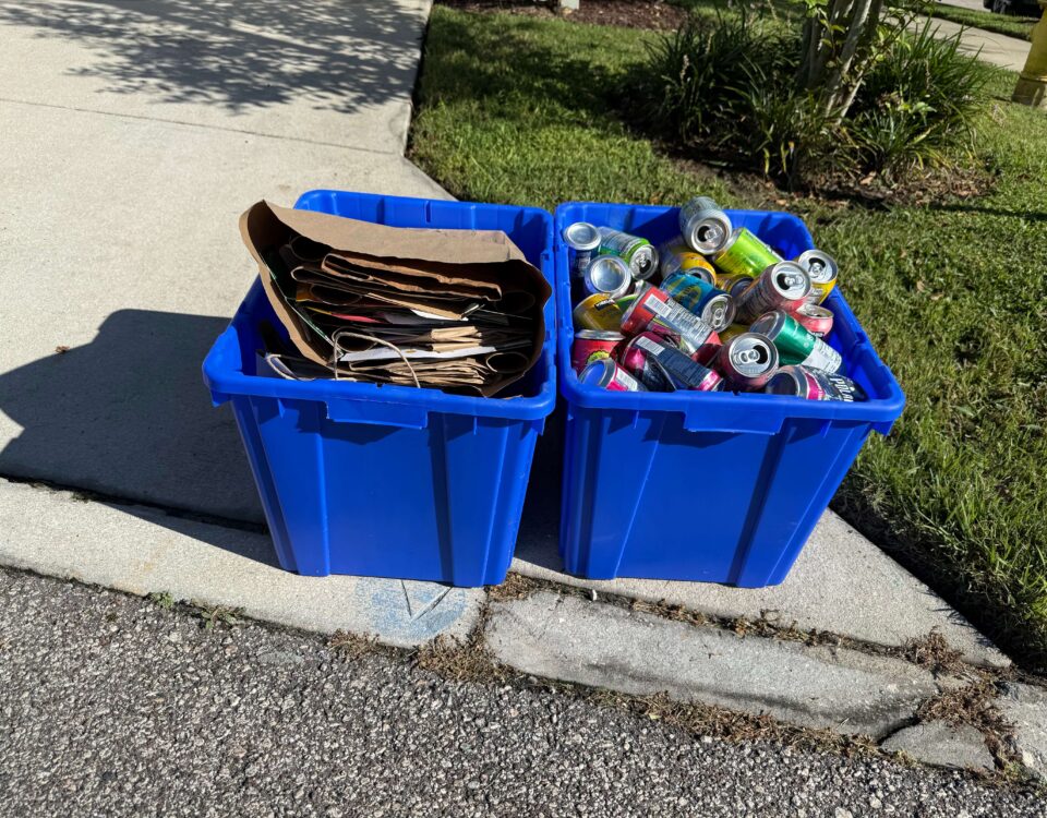 Recycling in Winter Garden