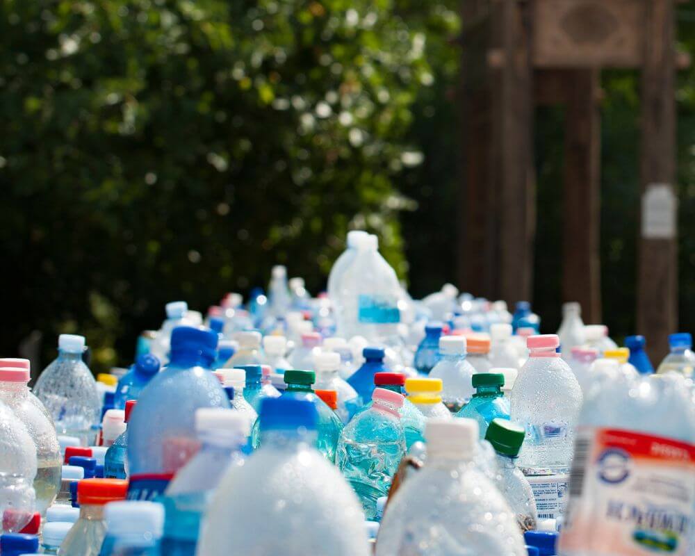 what happens to recycling after pickup